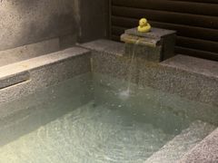 -龙佳生态温泉山庄