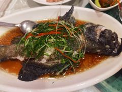 -四海之家(蛇口店)