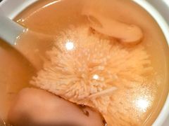 -苏帮袁Sue Cuisine(将台店)