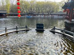 -百脉泉景区