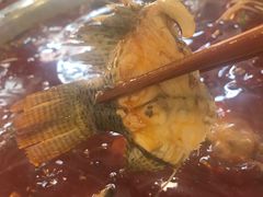 -刘胖娃鱼庄·特色肥肠鱼(杨家坪店)