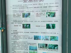 -嘉定紫藤园