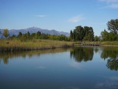 -野鸭湖国家湿地公园