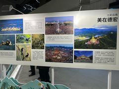 -中国宋庆龄青少年科技文化交流中心