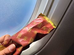 -新加坡航空公司(ION)