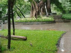 -晓港公园