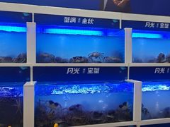-蟹状元大闸蟹·年货·粽子(成都成华店)