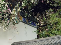 -深圳国际园林花卉博览园