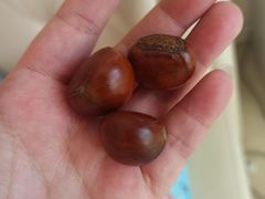 -一栗·新鲜零食炒货(太原街沃尔玛店)