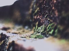 -维乐口腔医院(星海湾分院)