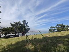 -小麦岛公园