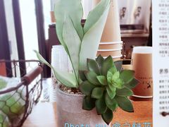 -风吟仟茶(友阿店)