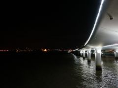 -演武大桥观景平台