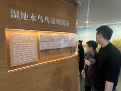 -漩门湾国家湿地公园