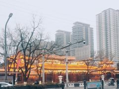 -渭滨公园
