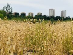 -兴安湖生态运动公园
