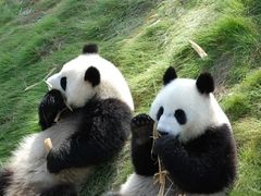 -安吉竹博园
