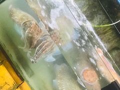 -蓝湾碧波·老字号·疍家非遗海上餐厅