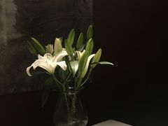 -都氏家DUSJOY(翡翠城店)