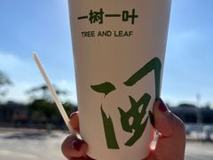 -一树一叶·福建茶档(石鼓路店)