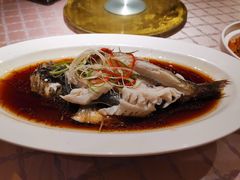 清蒸鲈鱼-龙厨渔宴馆(北京路店)