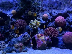 -暹罗海洋世界