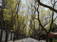 餐厅所在的岳阳路-穹六人间 people 6(岳阳路店)