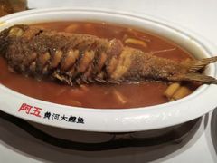 -阿五黄河大鲤鱼(英协路店)