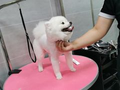 -宠福鑫康馨动物医院·骨科·眼科