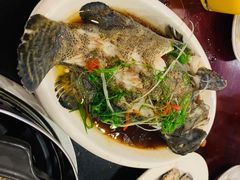 -冯姐生蚝(长隆横琴店)