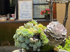 -寂照庵