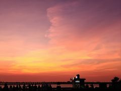 -宝安西湾红树林湿地公园