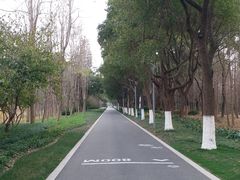 -昆山城市生态森林公园