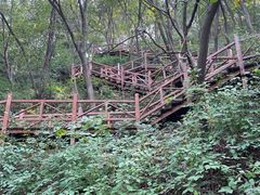 -大岭沟猕猴桃谷风景区