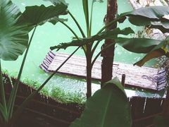 -海南槟榔谷黎苗文化旅游区