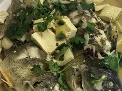 豆腐黑鱼-煲来饱去冷水鱼