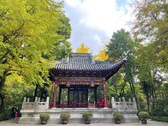 -汇龙潭
