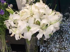 -BOBLOOM花店(宝龙旭辉广场店)