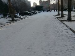 -黑龙江大学
