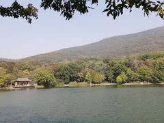 -紫霞湖公园