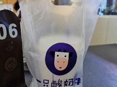 -一只酸奶牛(来福士店)