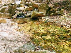 -本溪汤沟绿石谷森林公园