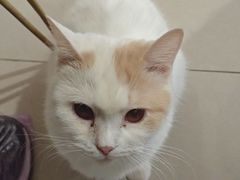 -平行世界·猫咖(首经贸店)