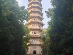 -灵谷景区
