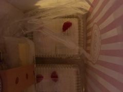 鲜奶小方蛋糕-红宝石·鲜奶小方·海派西点房(南丹店)