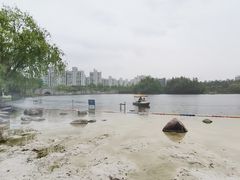 -大宁公园