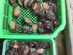 -毕家疃综合市场