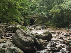 -西岭雪山大飞水景区