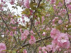 -敬亭山风景名胜区-弘愿寺