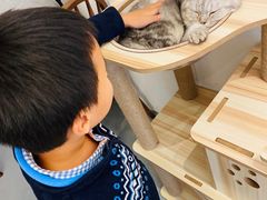 -猫友咖啡店(玉林西路店)